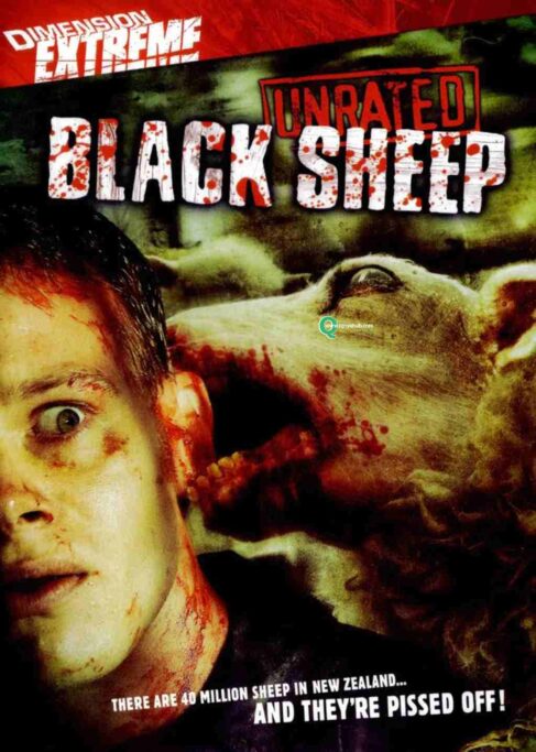 Black Sheep تعلم الانجليزية