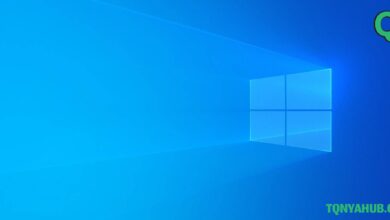 windows 10 pro