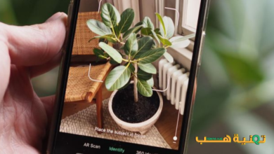 أفضل تطبيقات المعرض للأندرويد لتنظيم صورك بأناقة